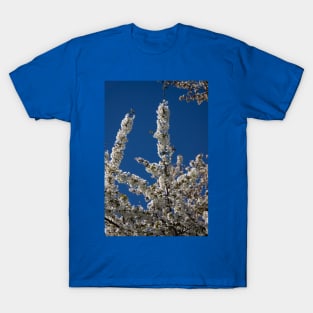 White blossom. T-Shirt